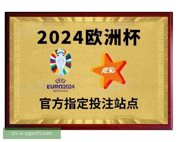 2024欧洲杯决赛门票最低售价仅需九十五欧元震撼开售